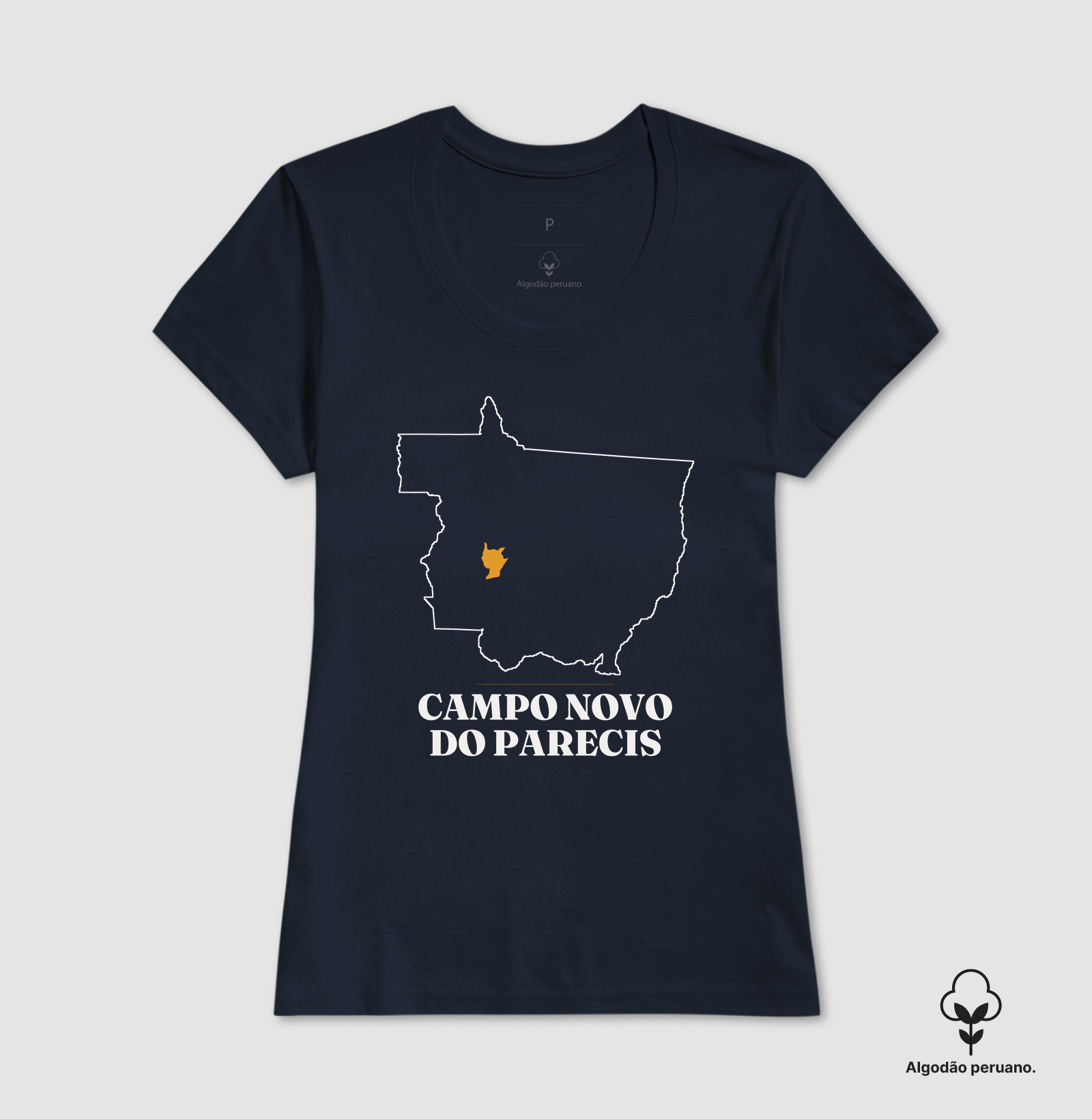 Campo Novo do Parecis | Traço MT - Imagem 2
