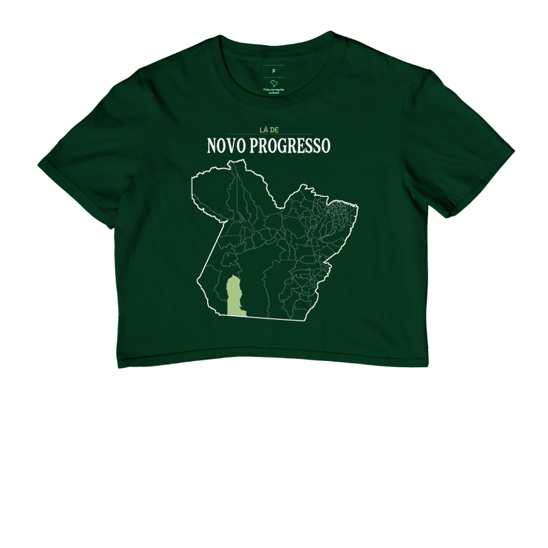 Novo Progresso | Território PA - Imagem 5