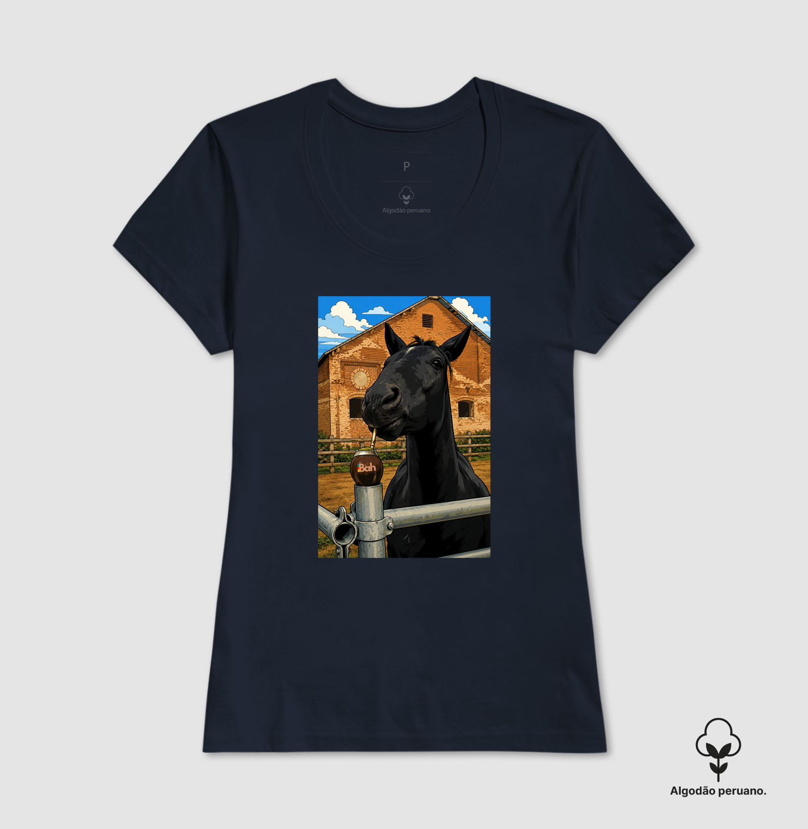 Cavalo Gaúcho - Imagem 5