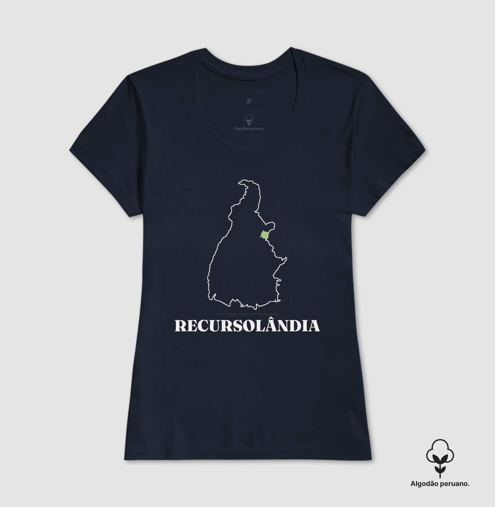 Recursolândia | Traço TO - Imagem 5