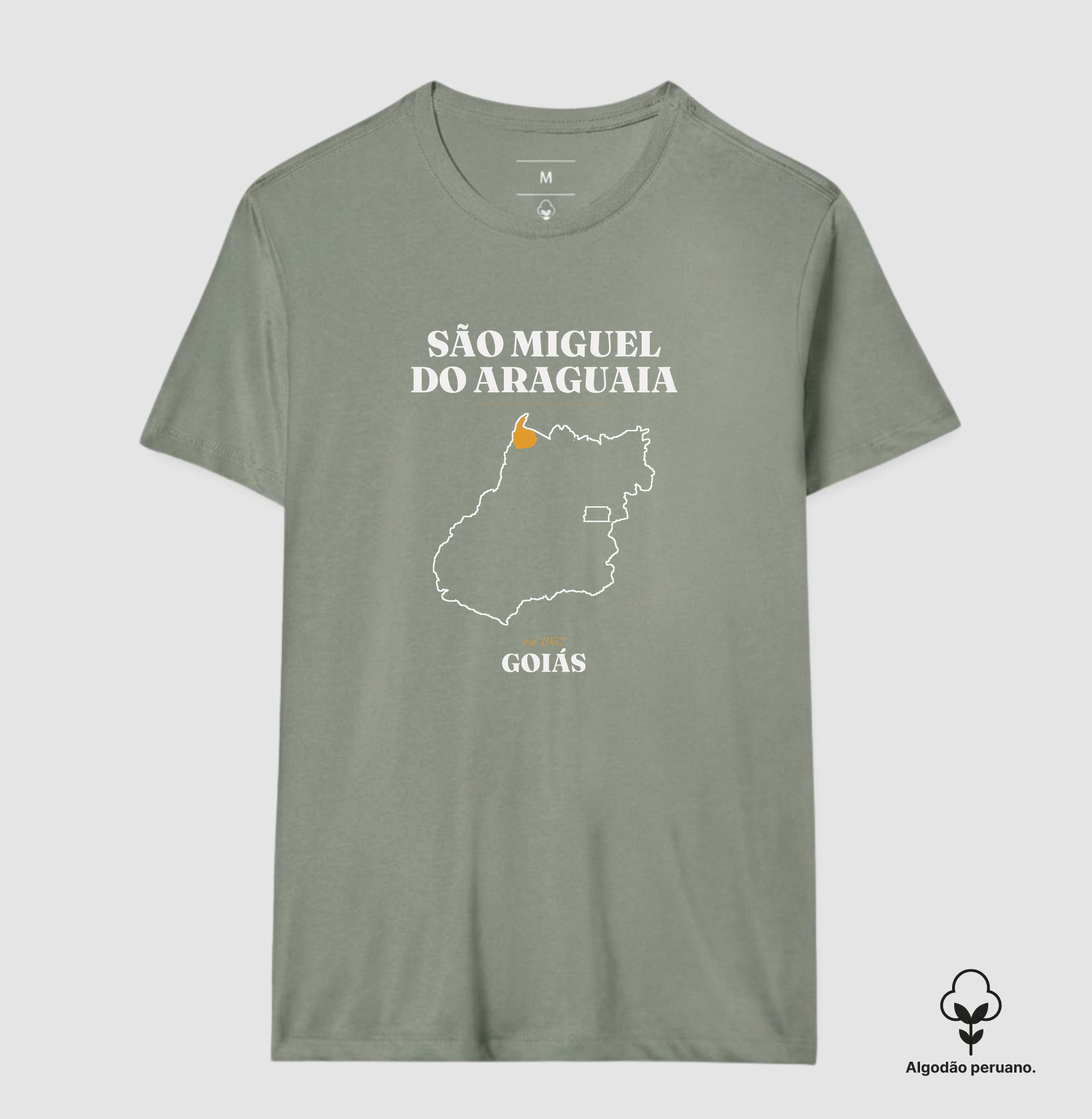 São Miguel do Araguaia | Legado GO - Imagem 9