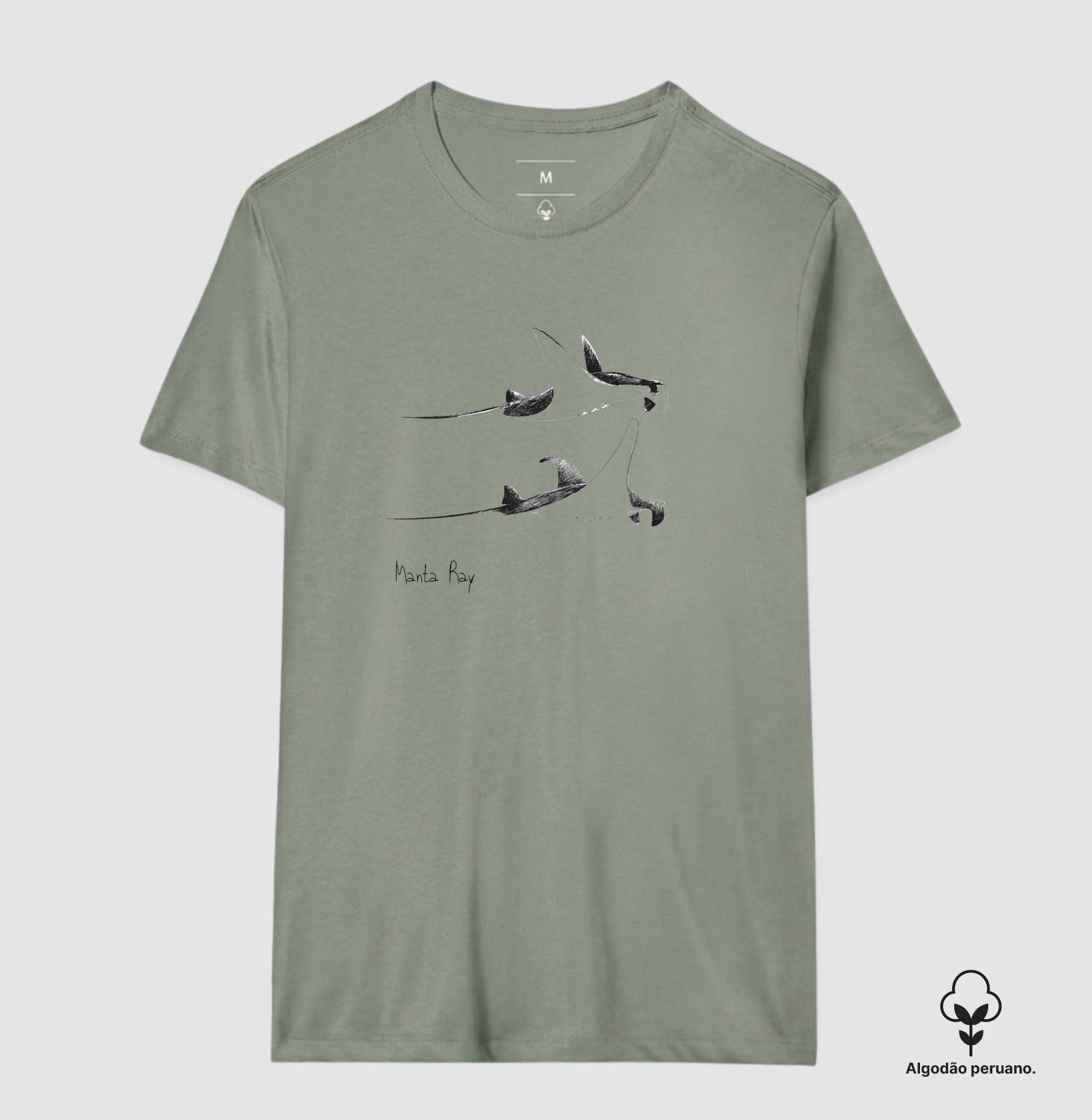 Manta Ray - Imagem 5