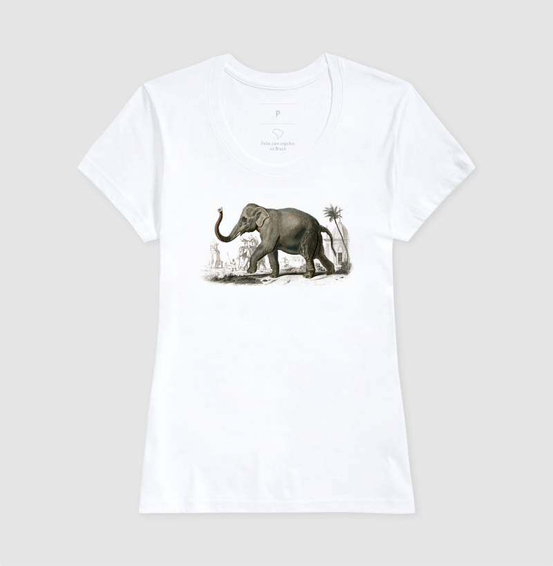 Elefante-asiático - Imagem 3