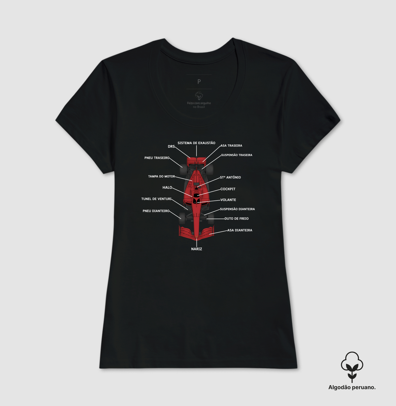 Anatomia do Fórmula 1 - Imagem 2