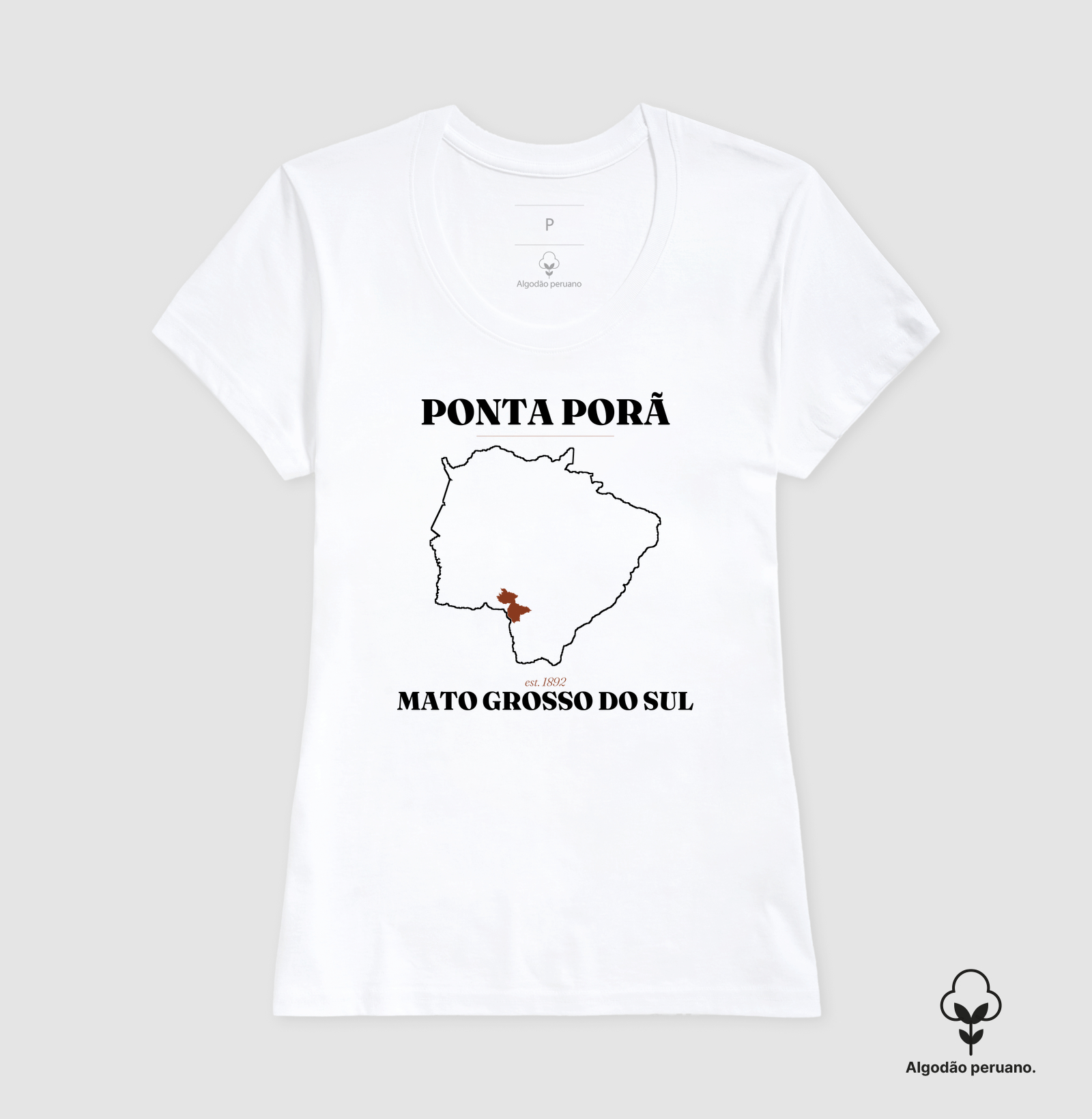 Ponta Porã | Legado MS - Imagem 7