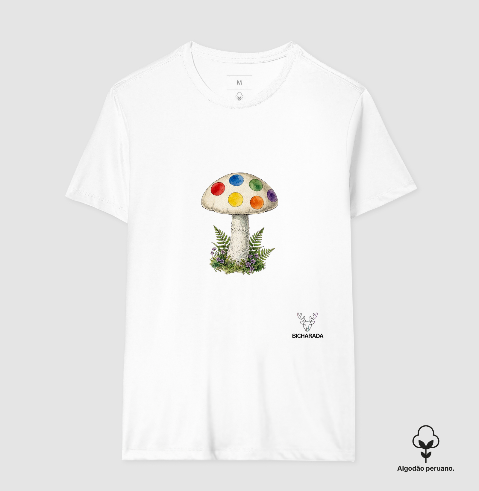 Cogumelo arco iris - Imagem 5