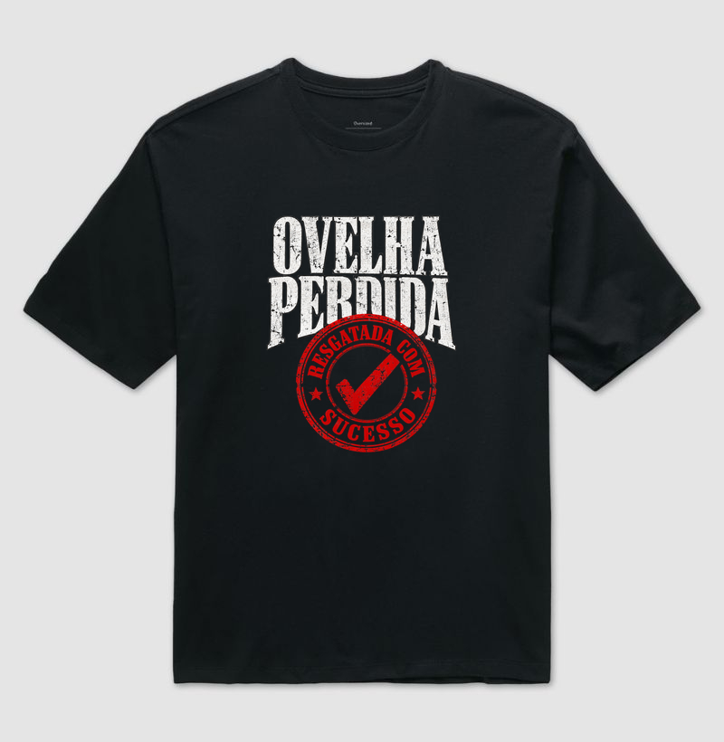 Ovelha Perdida Resgatada com Sucesso - Imagem 2