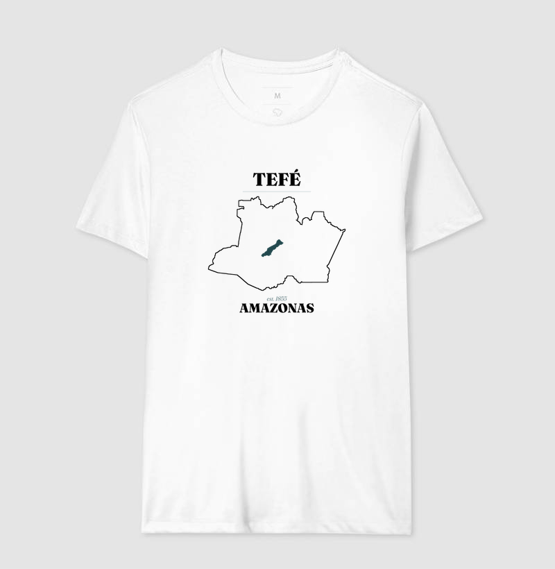 Tefé | Legado AM - Imagem 4