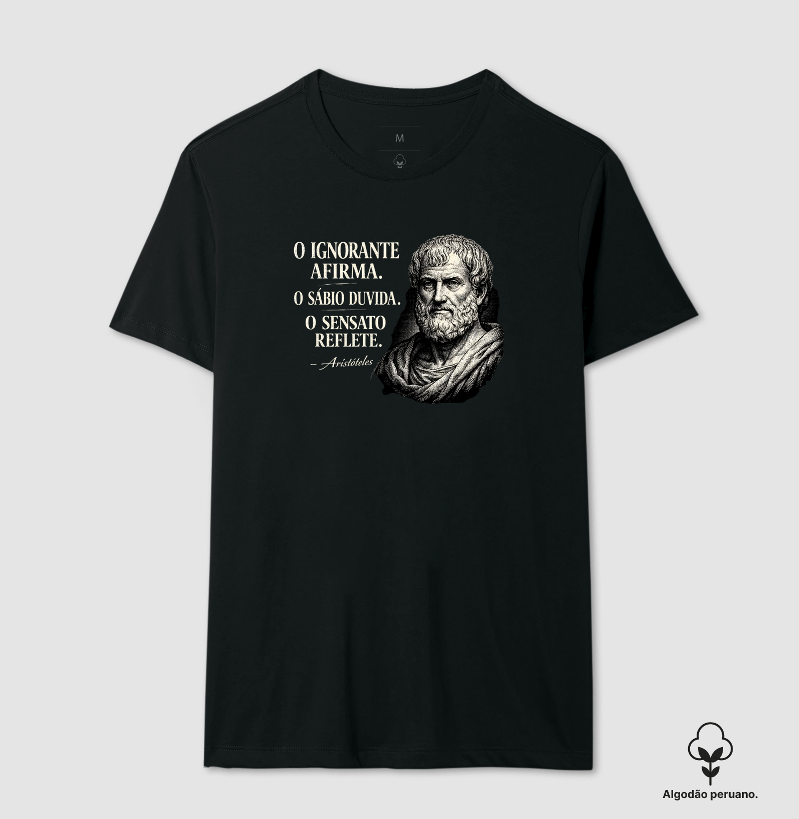 Filosofia de Aristóteles - Imagem 3