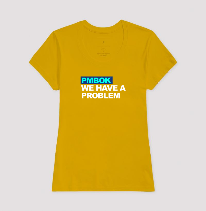 we have a problem PMBOK  - Imagem 11