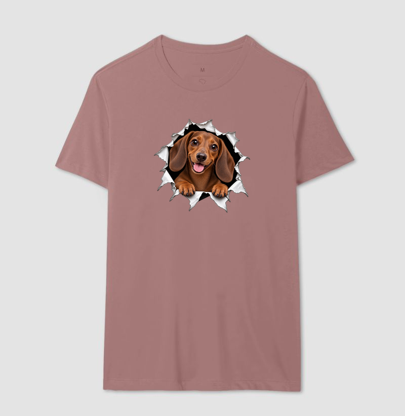 Dachshund Saindo Pelo Rasgo - Imagem 16