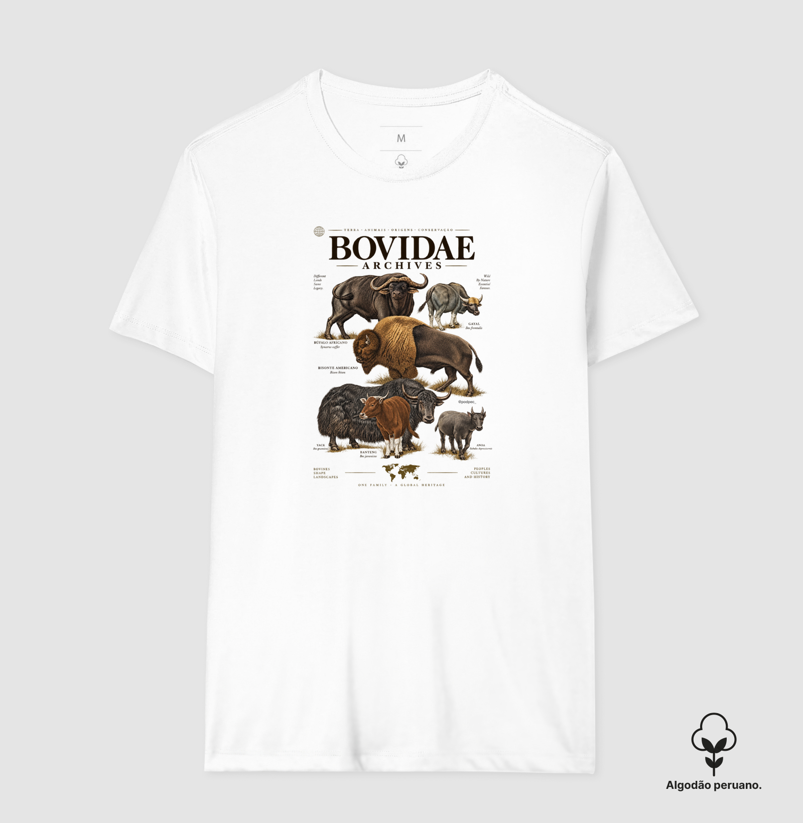 Bovidae Archives - Imagem 2