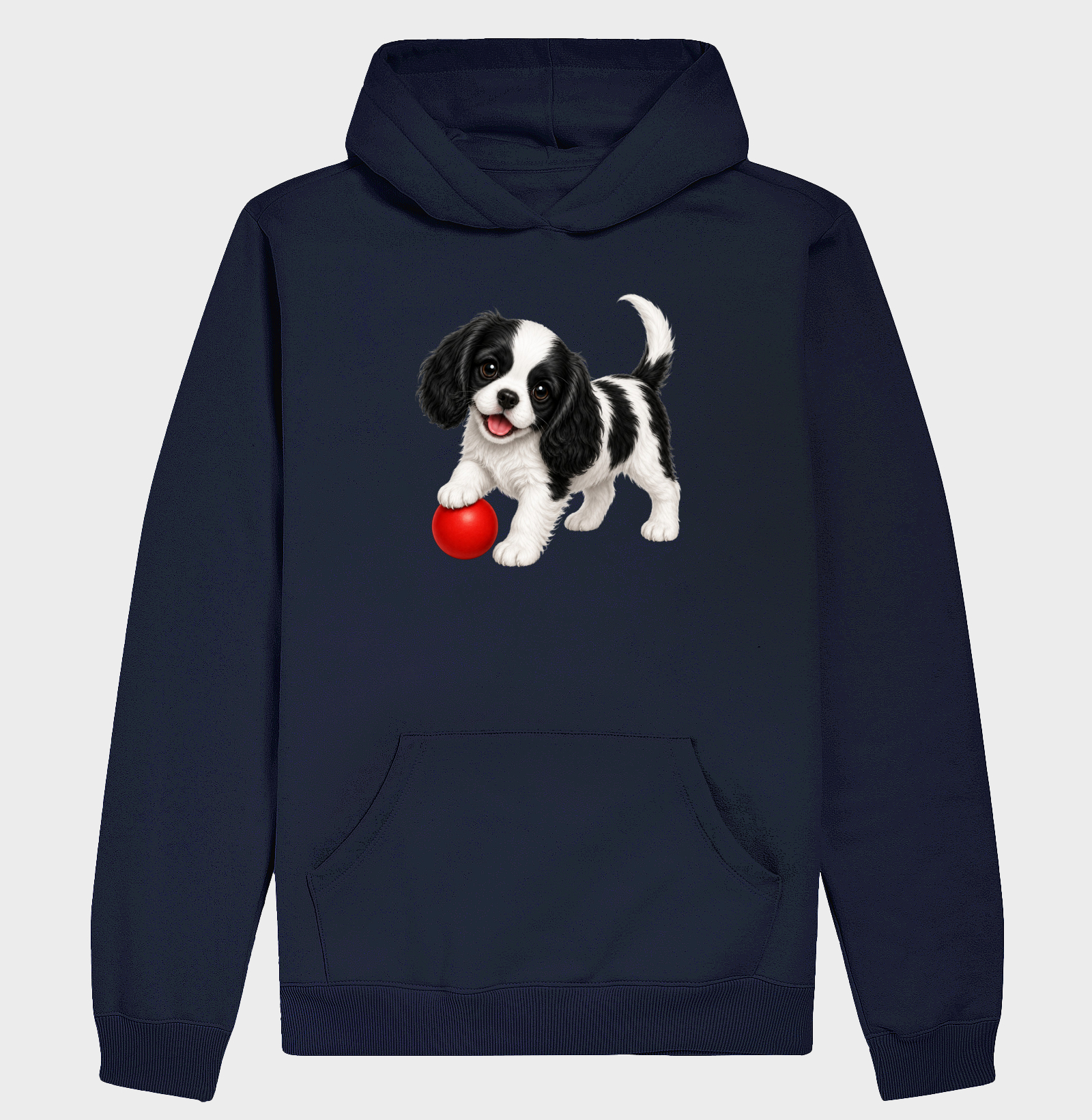 Cavalier King - Desenho Animado - Imagem 4