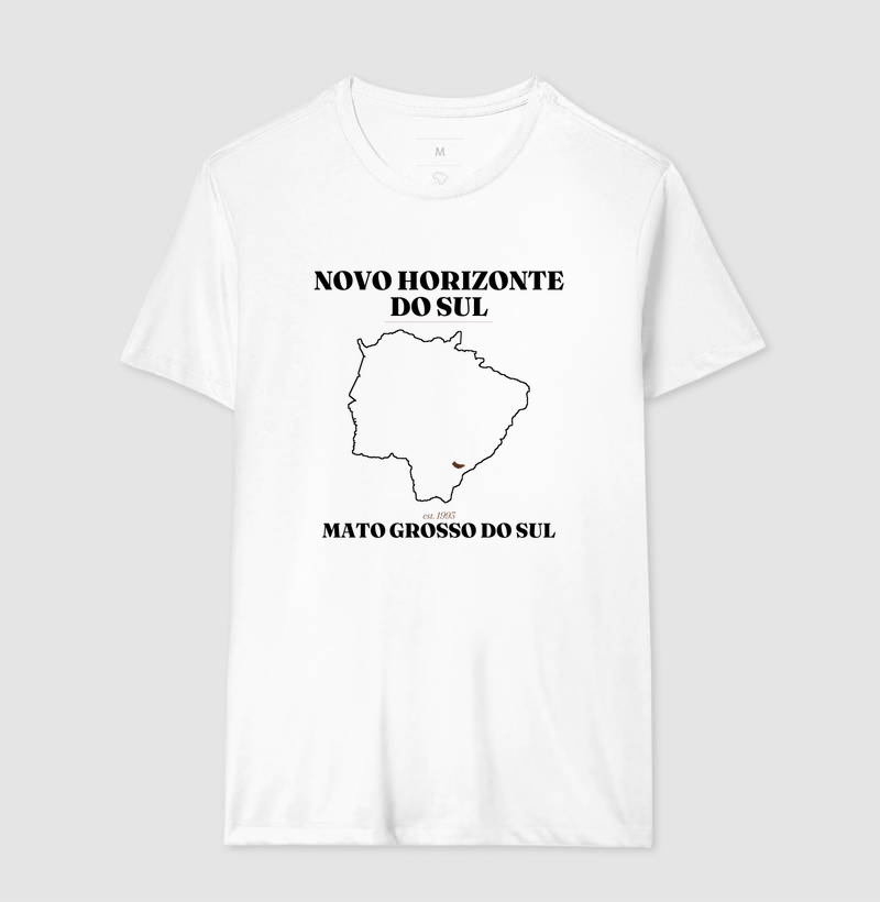 Novo Horizonte do Sul | Legado MS - Imagem 4