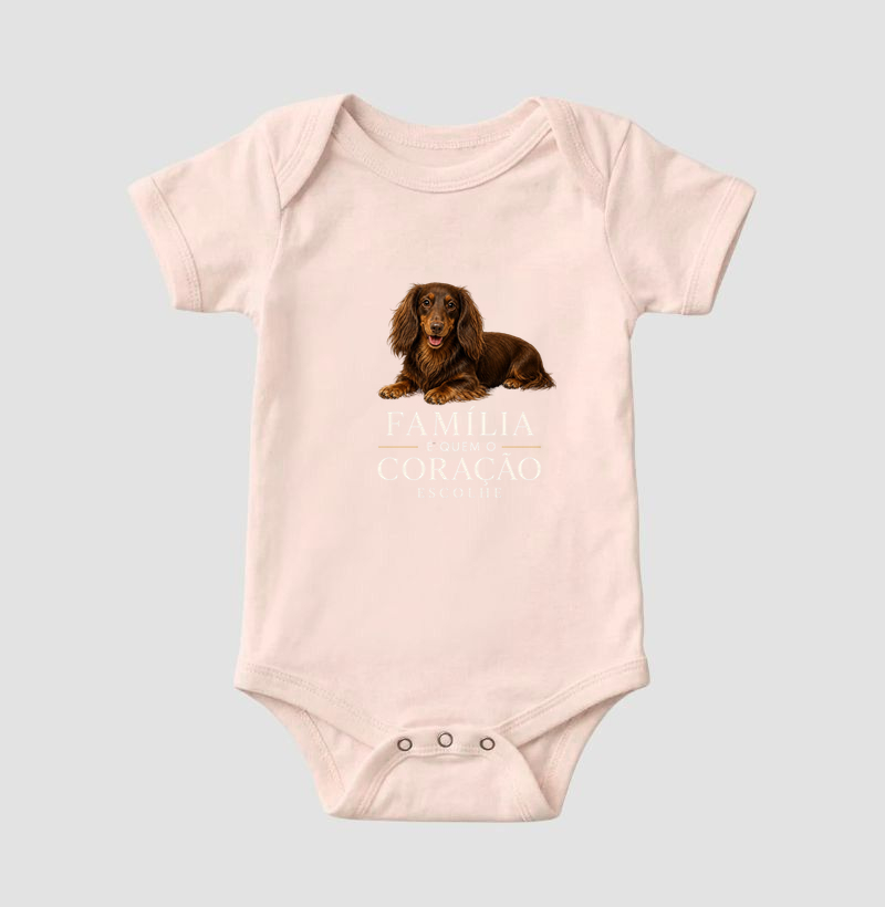 Dachshund Pelo Longo Marrom - Família - Imagem 5