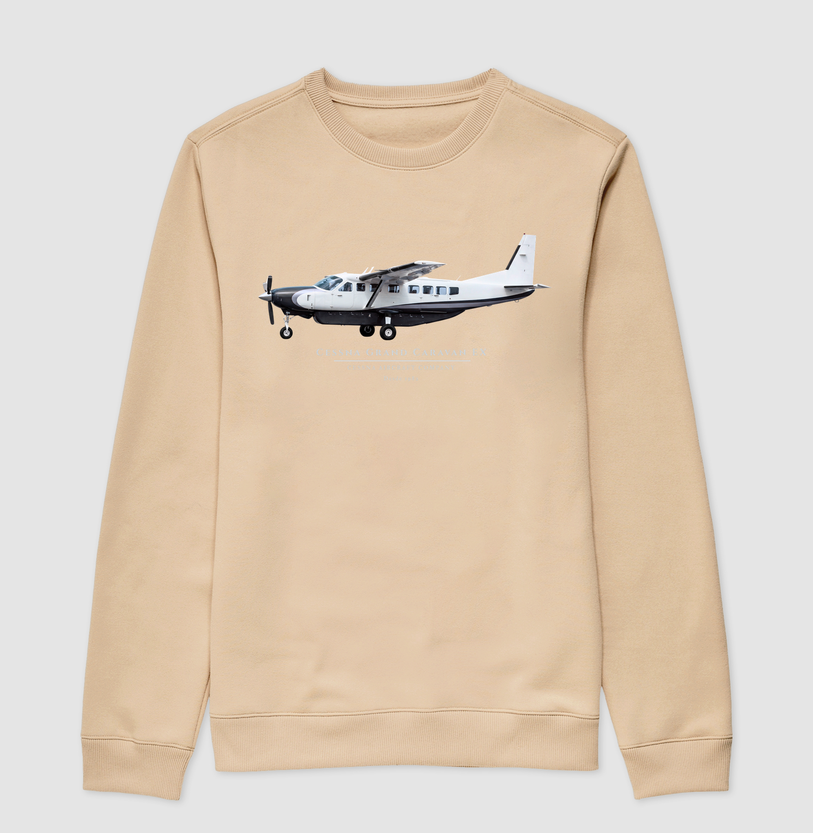 Cessna Grand Caravan EX - Imagem 3