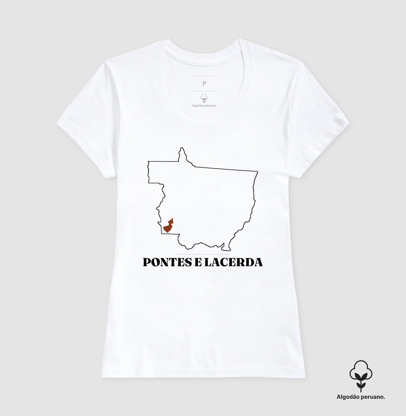 Pontes e Lacerda | Traço MT - Imagem 6