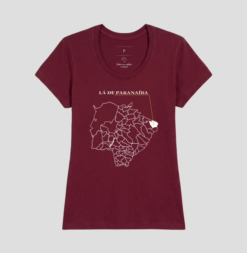 Paranaíba | Origem MS - Imagem 19