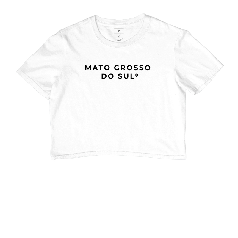 Mato Grosso do Sul | Clean - Imagem 3