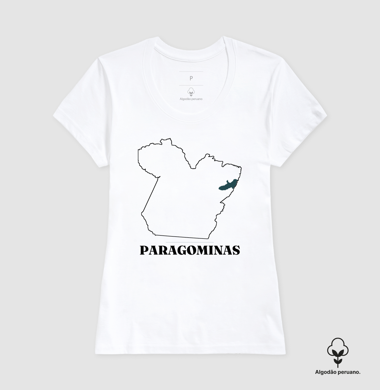 Paragominas | Traço PA - Imagem 7