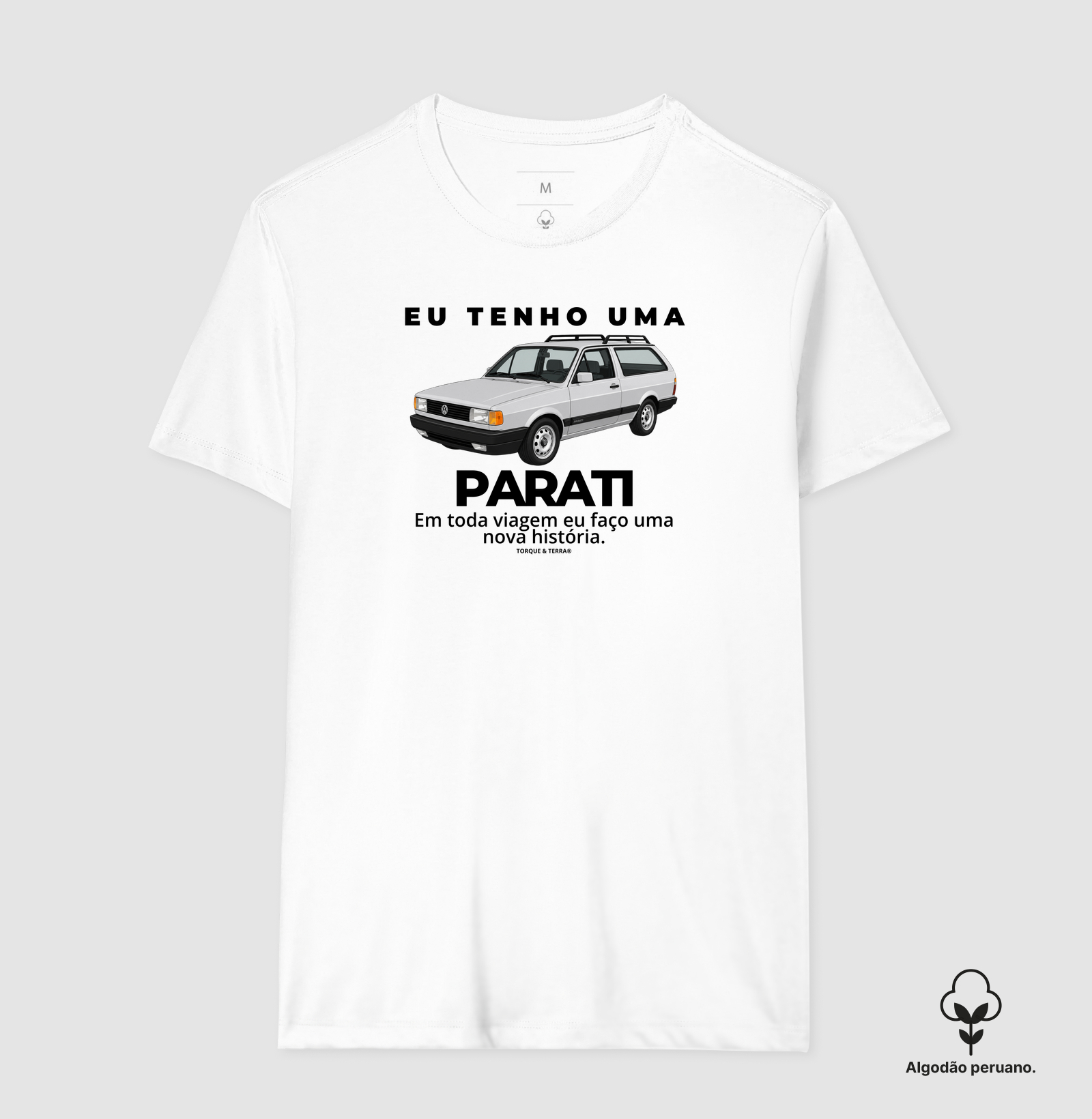 Eu tenho uma Parati prata - Imagem 5