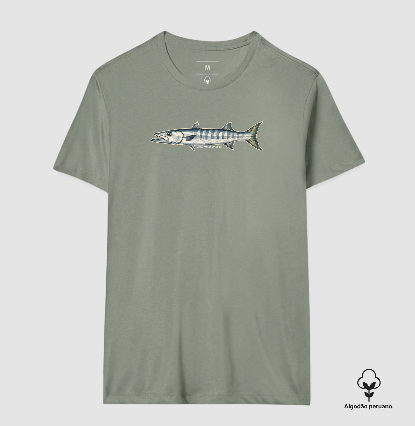 Barracuda - Imagem 3