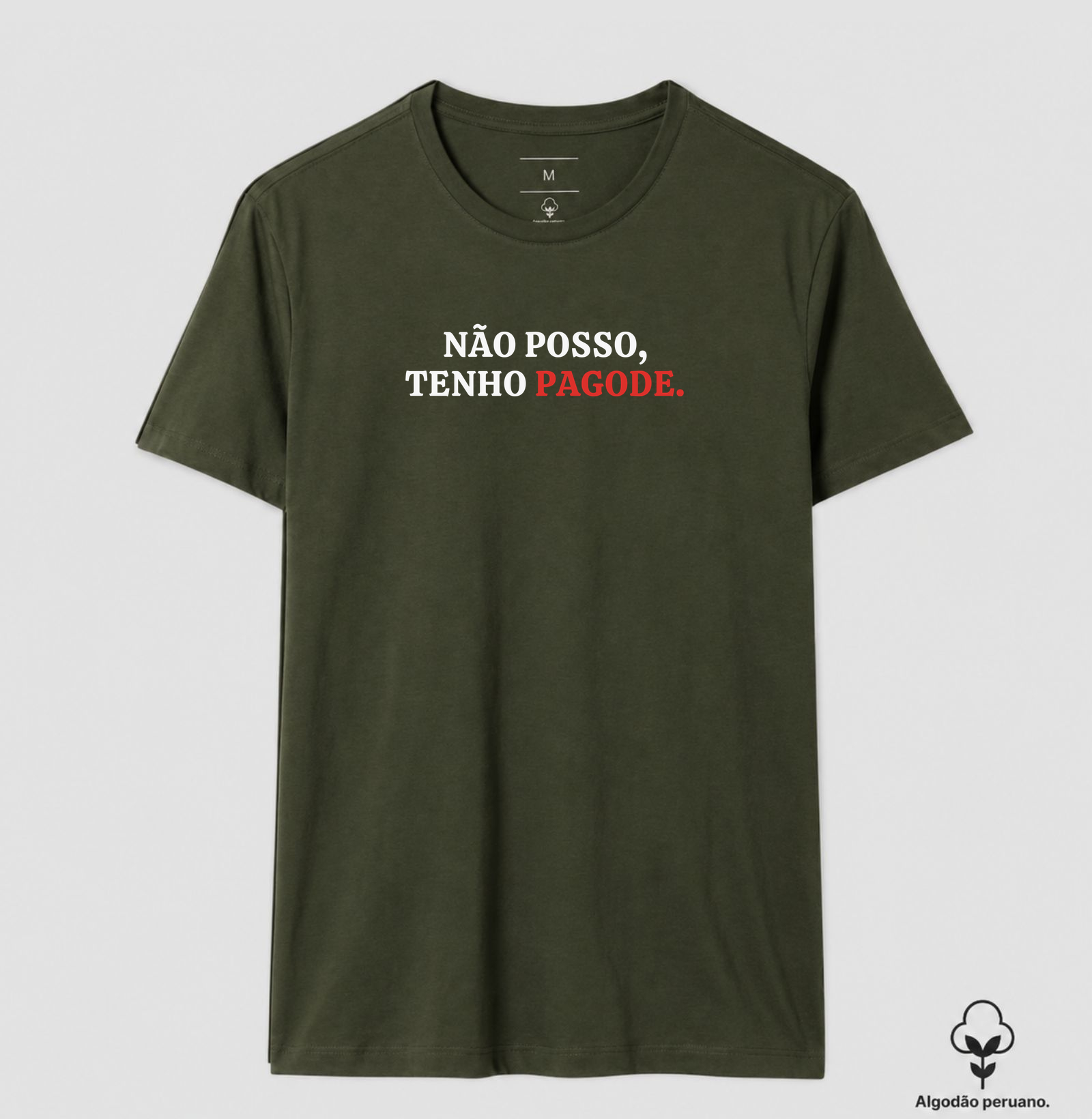 Não posso tenho pagode - Imagem 9