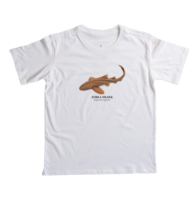 Zebra Shark - Imagem 5