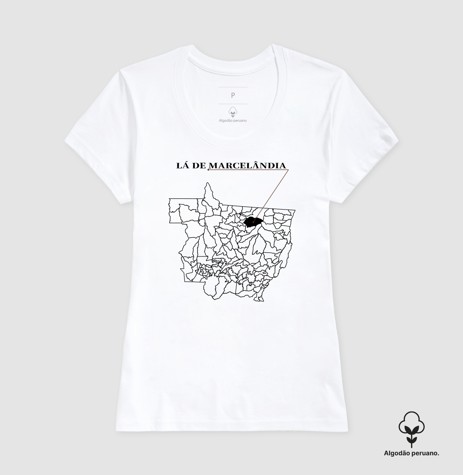 Marcelândia | Origem MT - Imagem 3