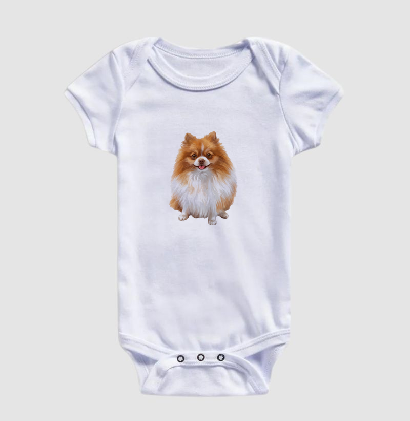 Pomerânia Laranja e Branca Minimalista - Imagem 3