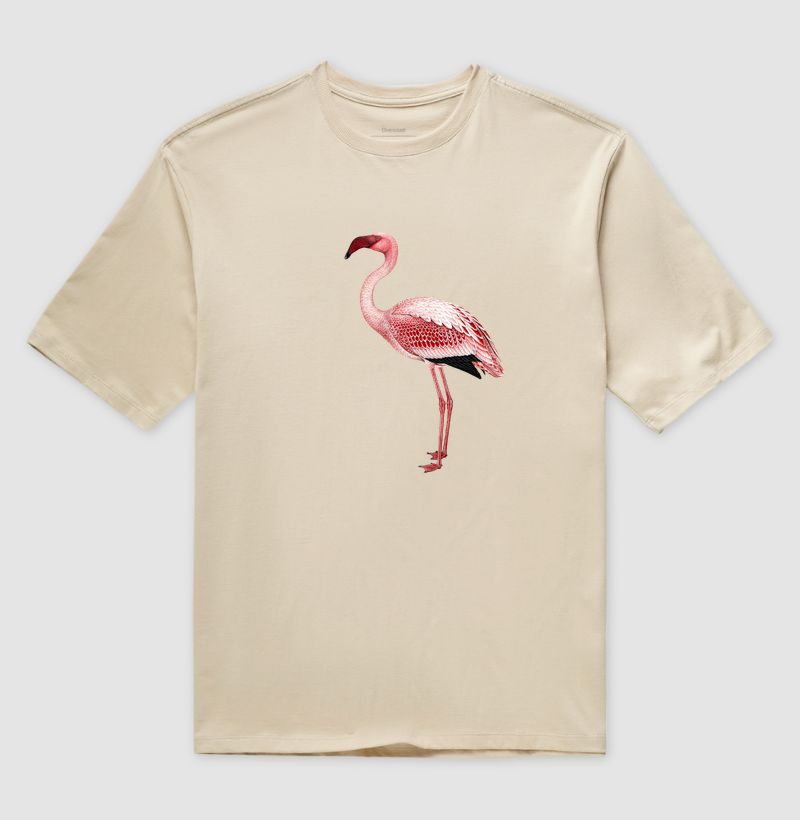 Flamingo - Imagem 3