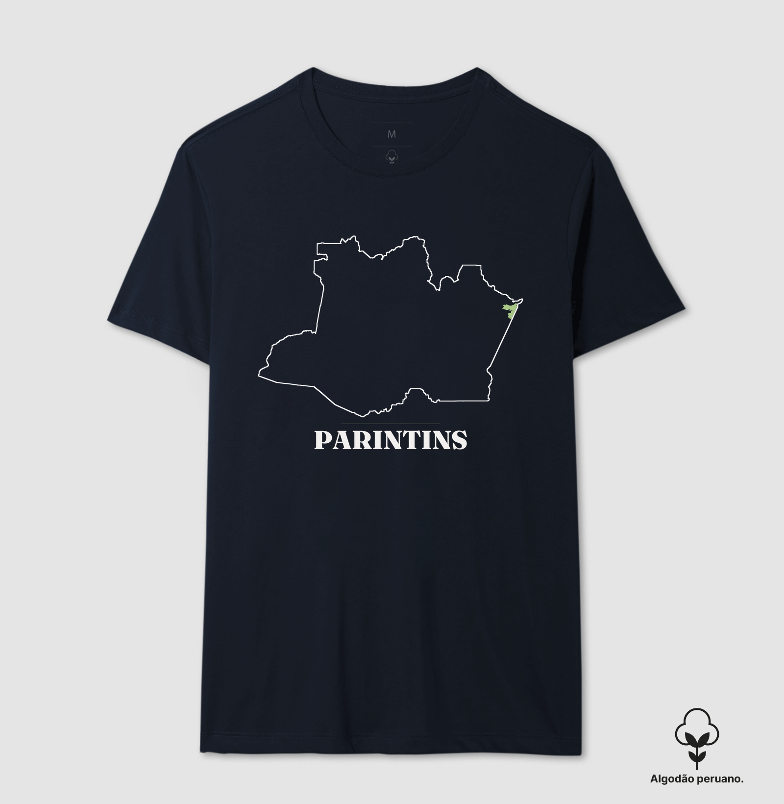 Parintins | Traço AM - Imagem 5