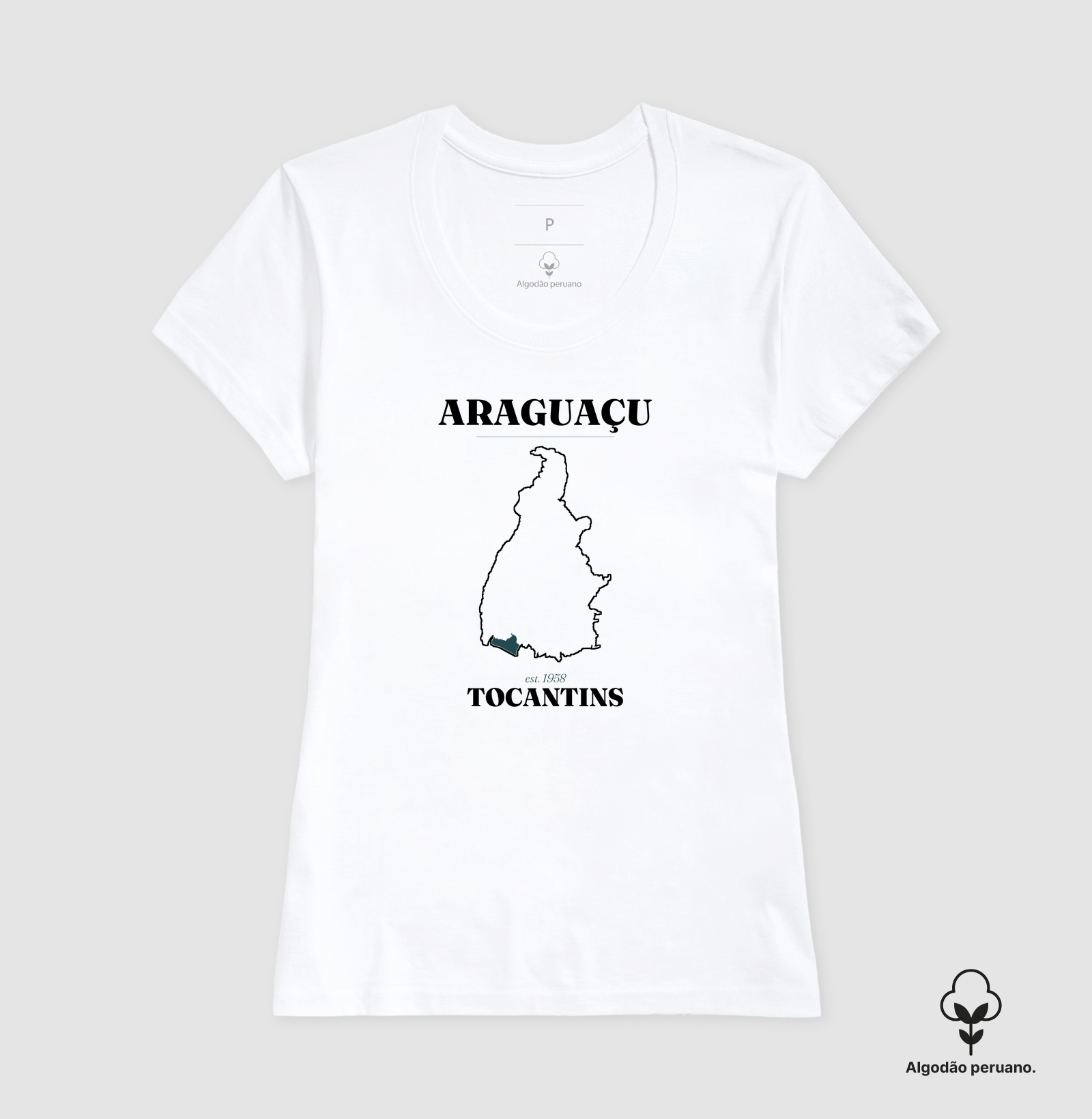 Araguaçu | Legado TO - Imagem 3