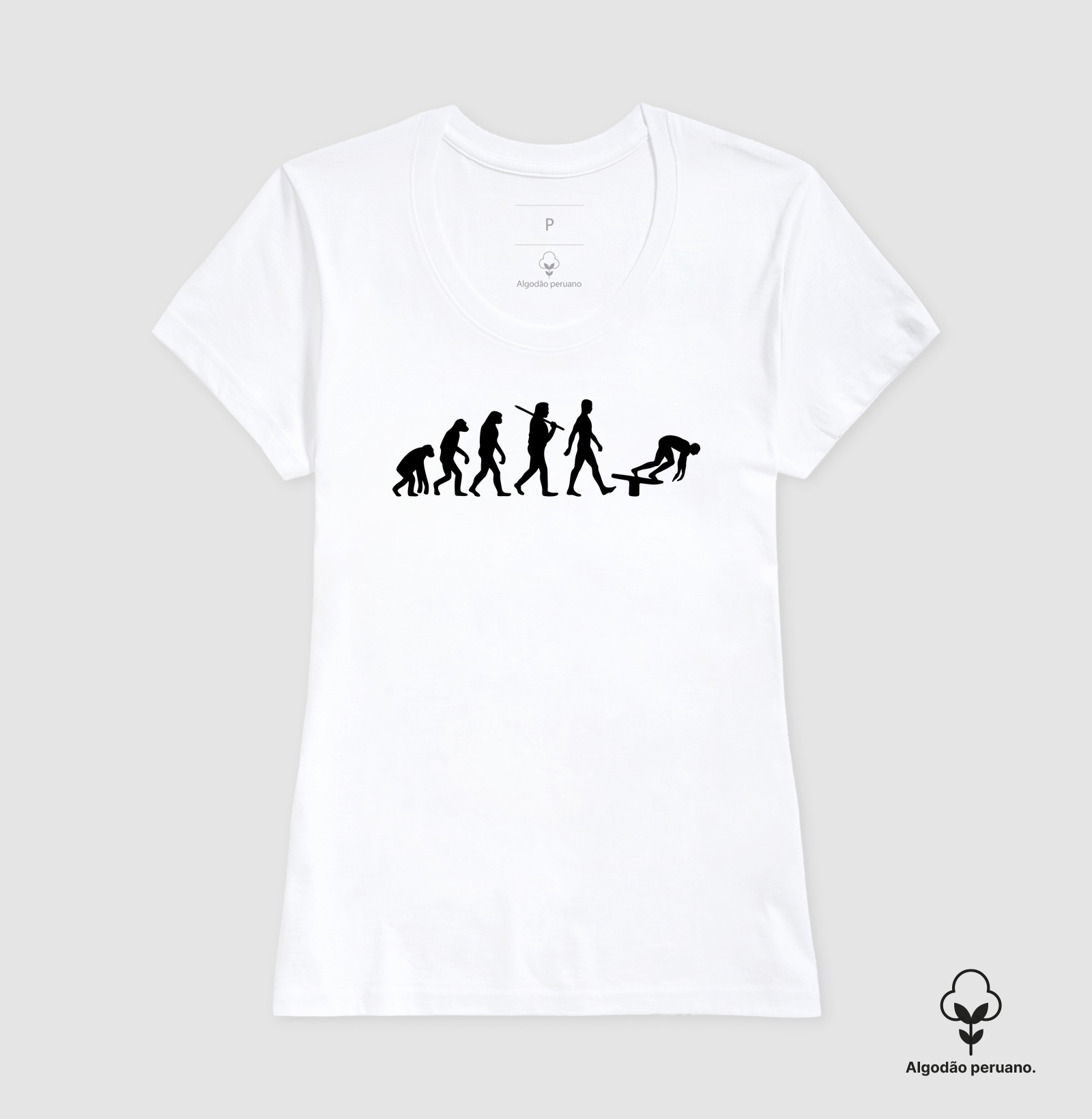 Evolução - Imagem 5