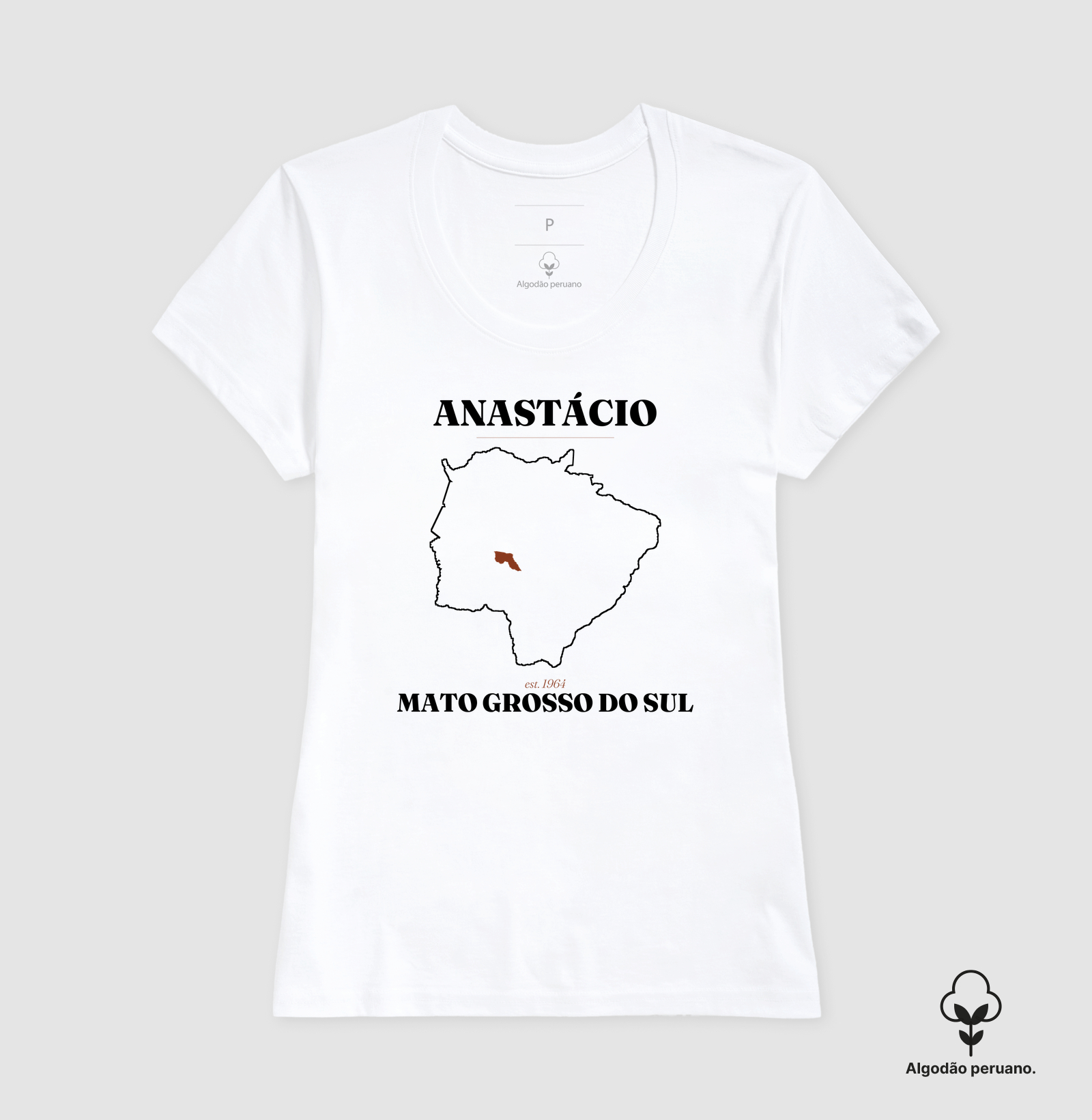 Anastácio | Legado MS - Imagem 4