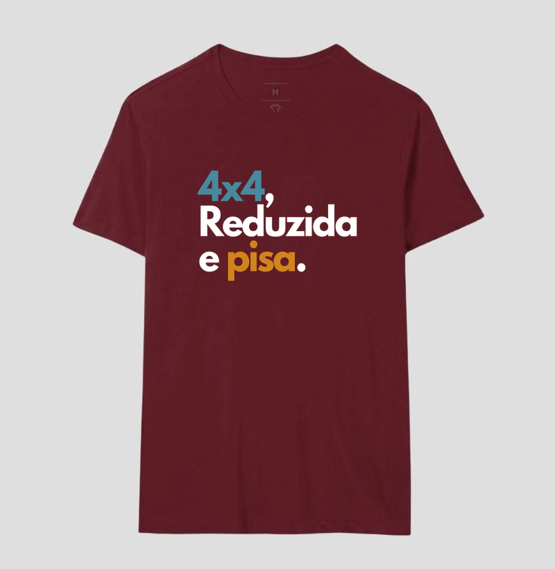 4x4 reduzida e pisa - Imagem 13