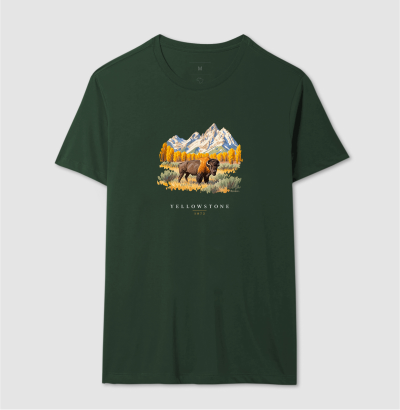 Bison - Yellowstone - Imagem 12
