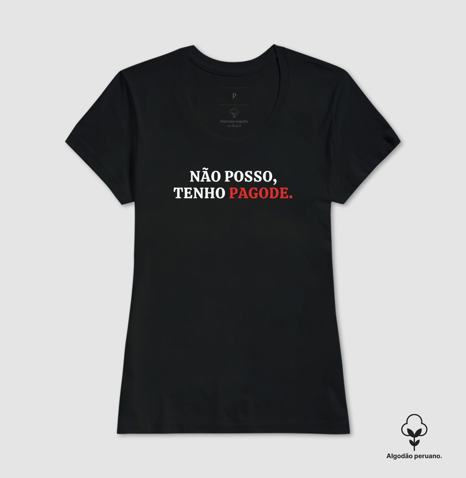 Não posso tenho pagode - Imagem 4