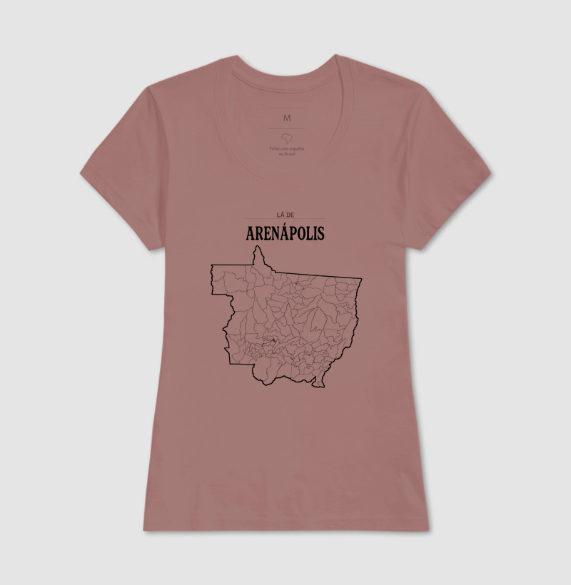 Arenápolis | Território MT - Imagem 17