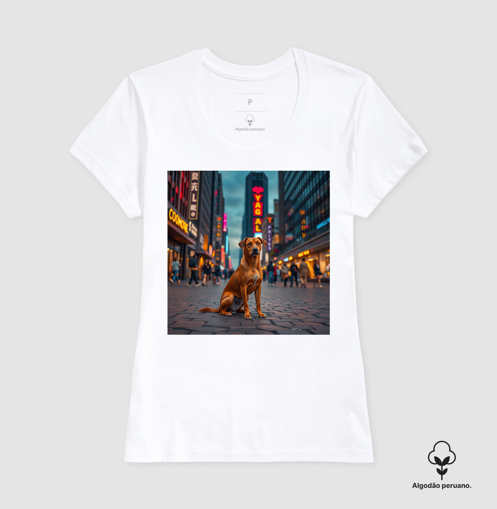 Camisa 2