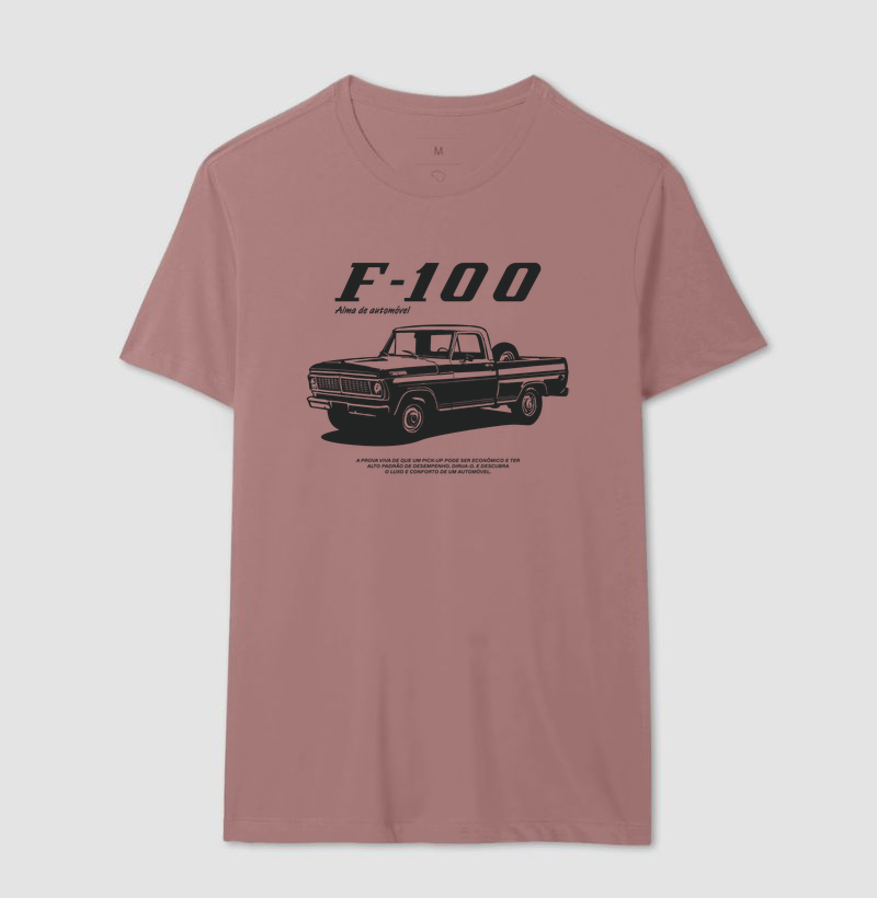 F-100 | Alma de Automóvel - Imagem 19