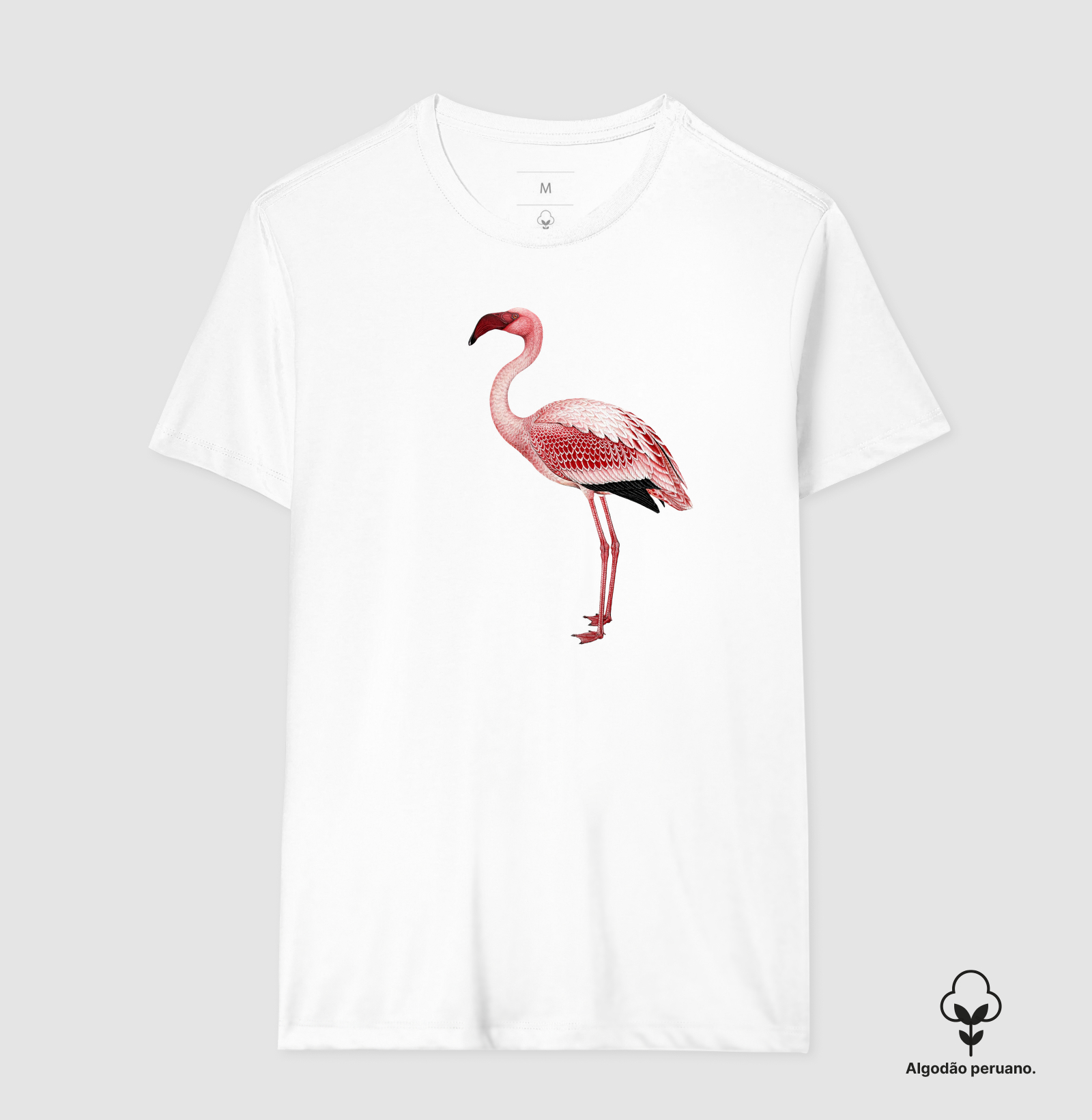 Flamingo - Imagem 2