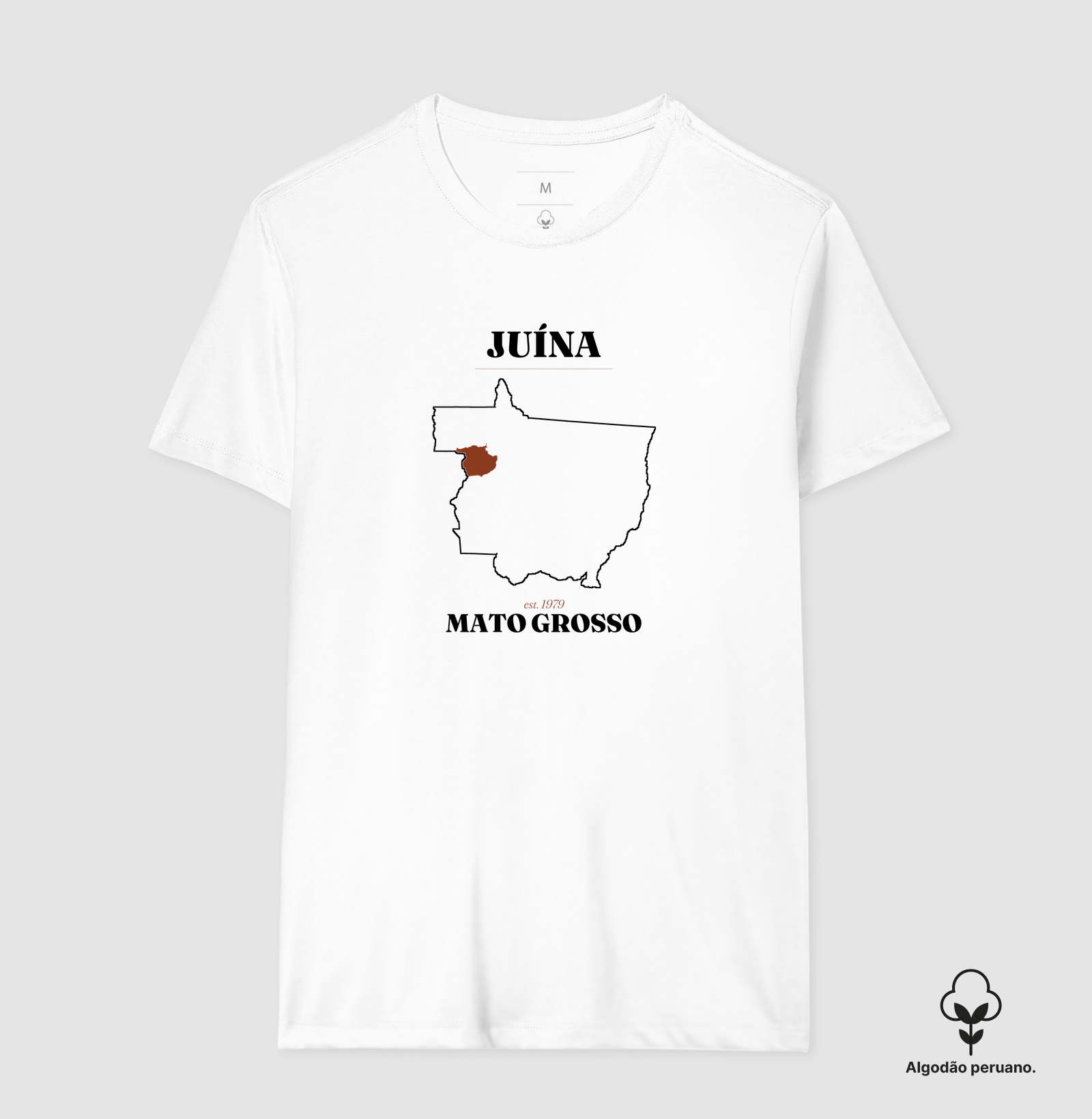Juína | Legado MT - Imagem 3