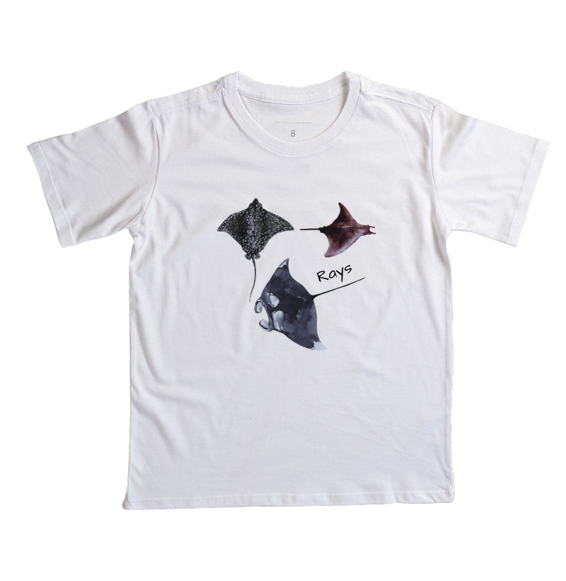 Rays - Imagem 7