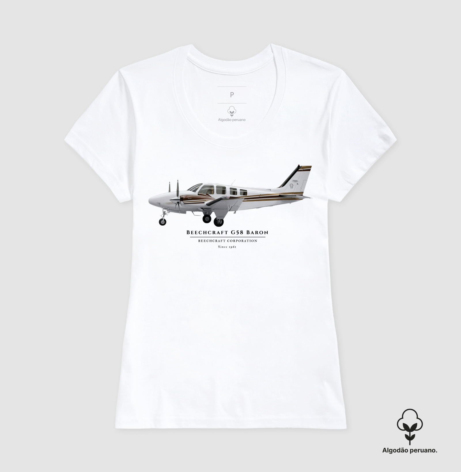 Beechcraft G58 Baron - PT-MIG | Profile - Imagem 5