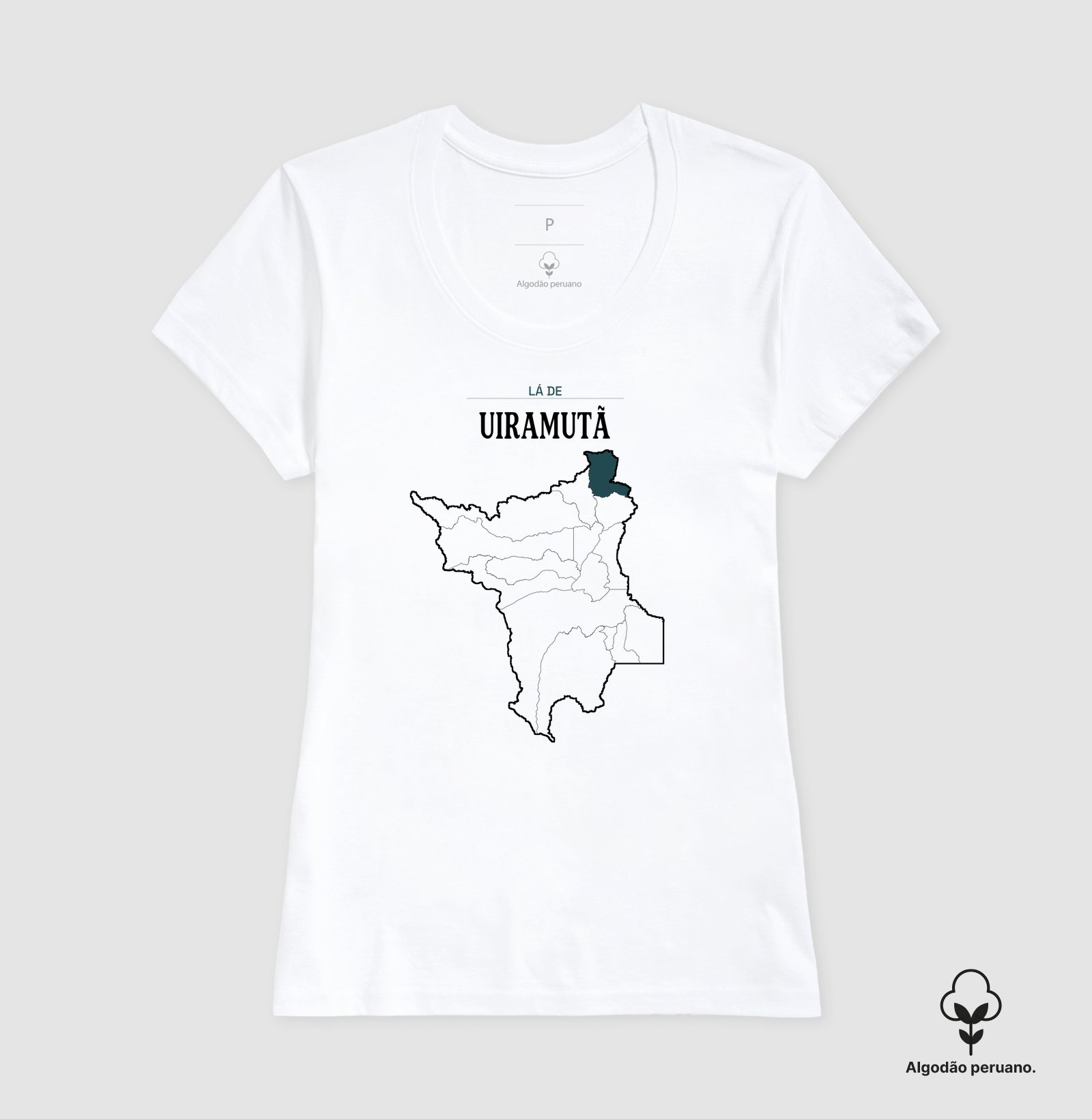 Uiramutã | Território RR - Imagem 4