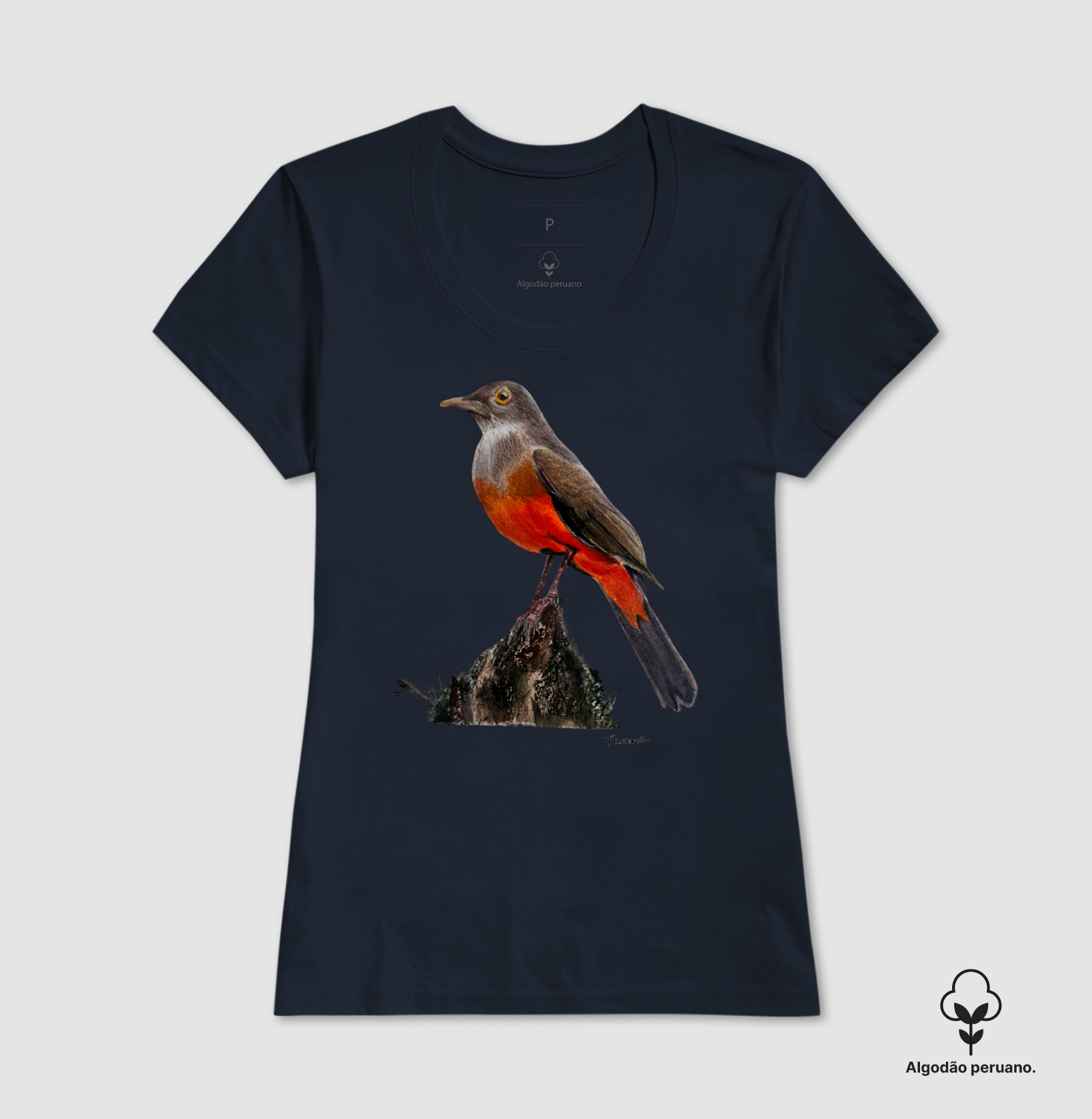 Camiseta Sabiá-Laranjeira – Aves do Brasil - Algodão Peruano - Imagem 6