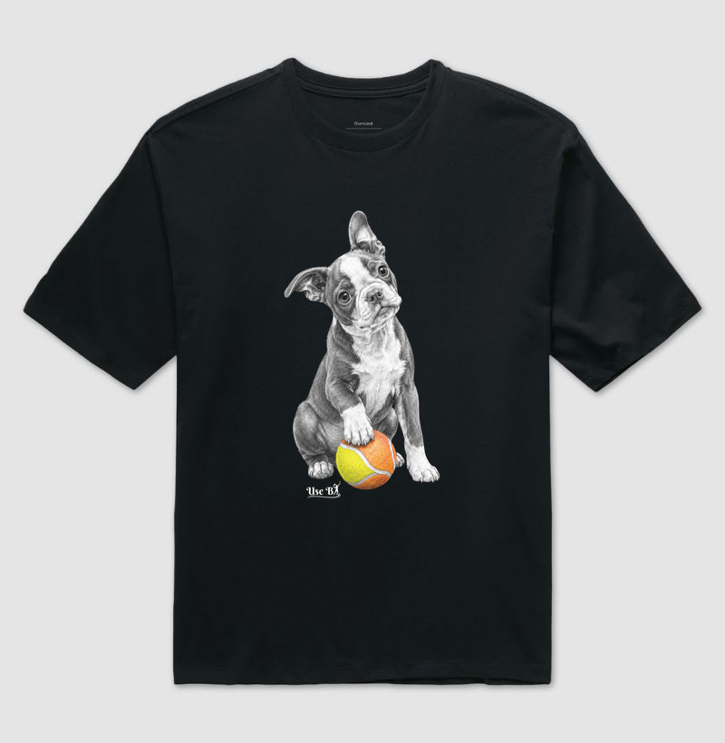 Boston Terrier do Beach - Imagem 2