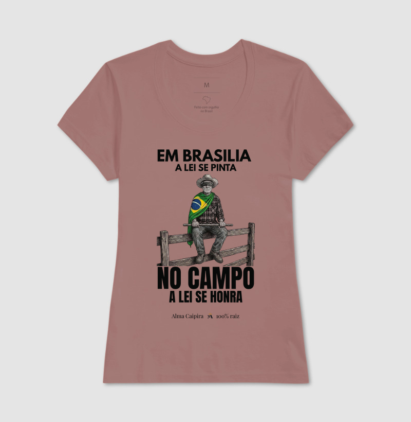 Em Brasília a lei se pinta, no Campo a lei se honra - Imagem 17