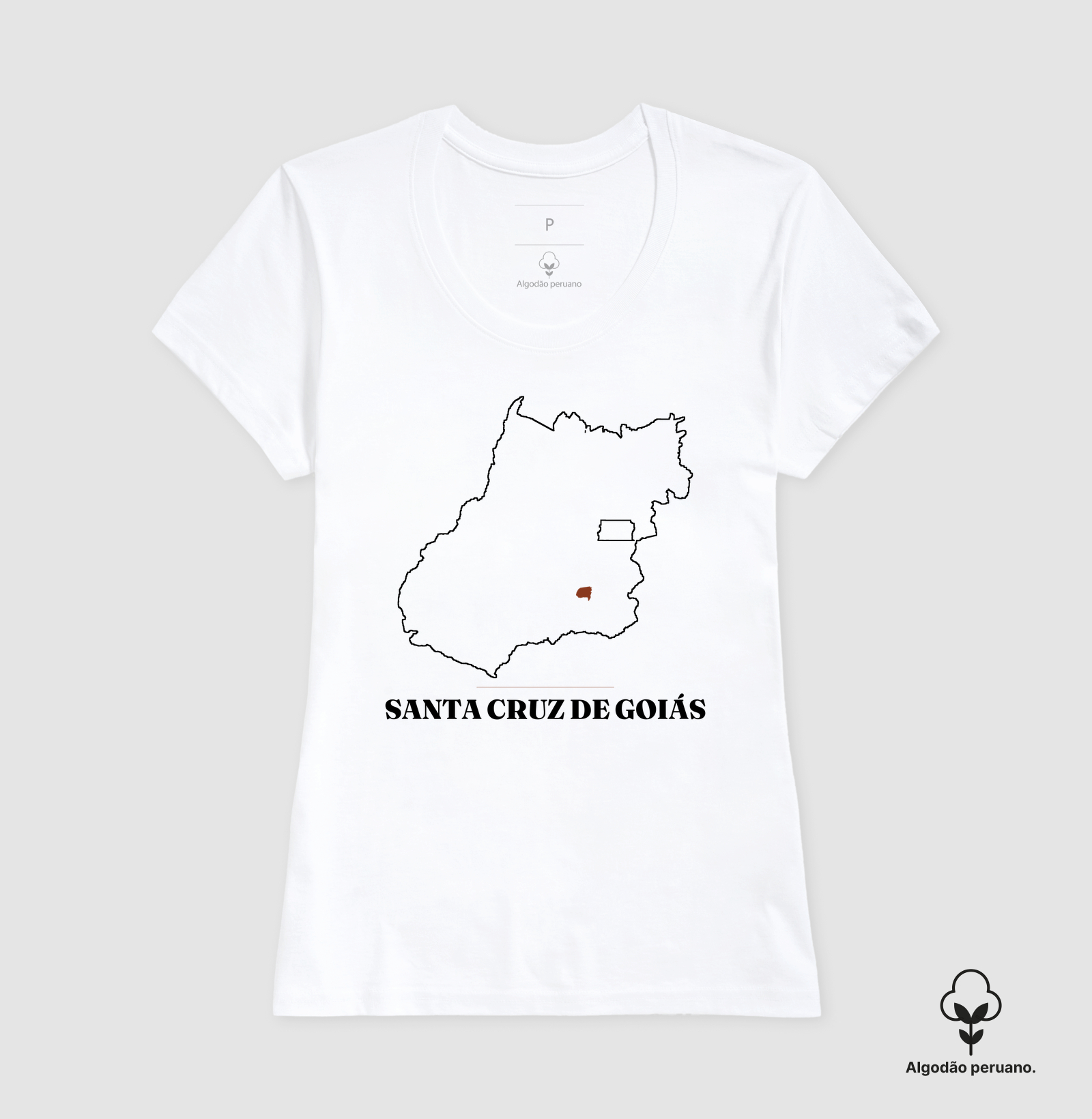 Santa Cruz de Goiás | Traço GO - Imagem 6